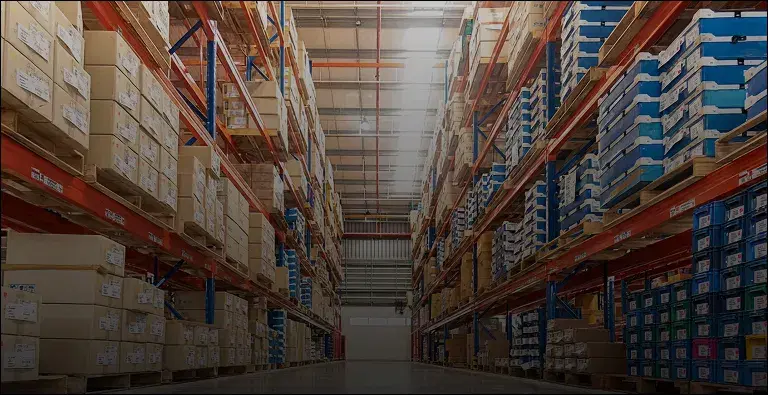 PANDORA SEARCH ヒーロー背景